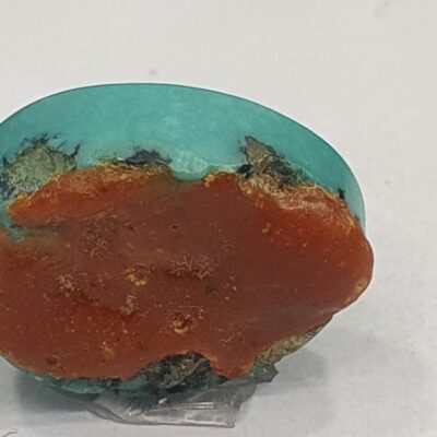 WhatsApp Image 2024-02-24 at 6.28.25 PM (1)