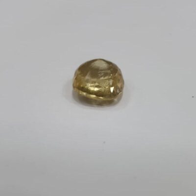 WhatsApp Image 2024-02-29 at 4.14.33 PM